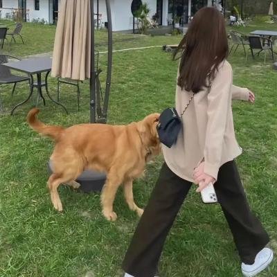 晚的赞歌海报
